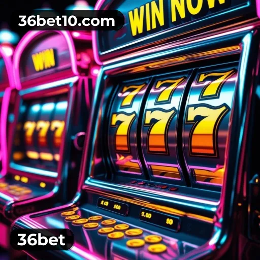 Suporte 24 horas 36bet
